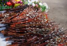 Священник рассказал, как быть с освященными ветвями вербы