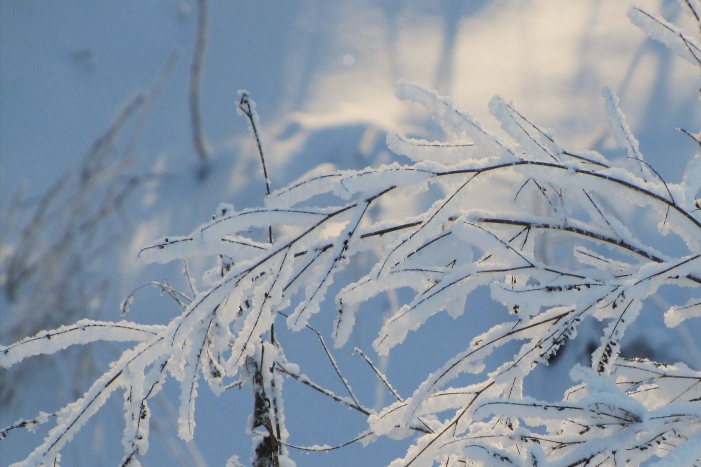 Материалы для маникюра: что нужно иметь под рукой