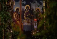 Почему на Троицу нельзя ходить в лес?