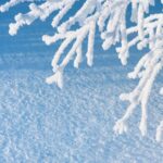 Рекордные морозы и снегопады охватят Украину и всю Европу зимой: тревожный прогноз MkWeather