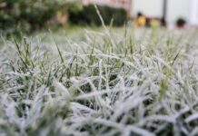 »Минусы» пришли в Украину: синоптик рассказала, когда ждать потепления