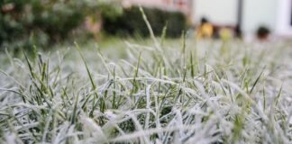 Материалы для маникюра: что нужно иметь под рукой